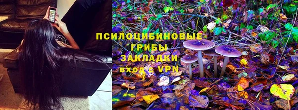 Альфа ПВП Баксан