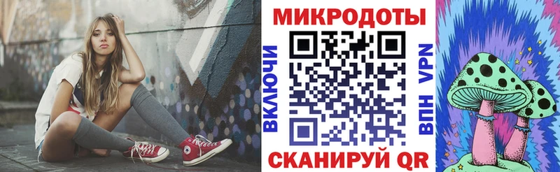 Купить  Грязовец  Псилоцибиновые грибы Cubensis 